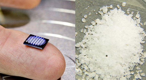 美国展示世界最微型电脑：搭载ARM CPU、比一粒米还小
