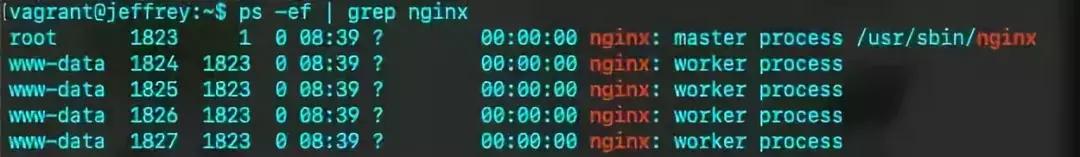 深入 Nginx 之架构篇