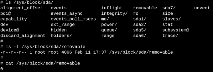 sysfs 中的文件确切地描述了实体的每个属性，并且可以是可读的、可写的，或两者兼而有之。文件中的“0”表示 SSD 不可移动的存储设备。