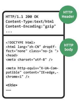 你知道HTML、CSS、JS、Services、PHP、ASP.NET 是什么来头么？