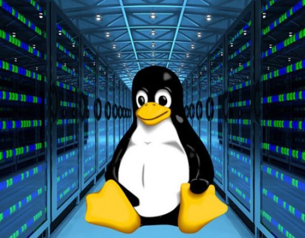 Linux/操作系统