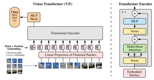NLP/CV模型跨界，视觉Transformer赶超CNN?