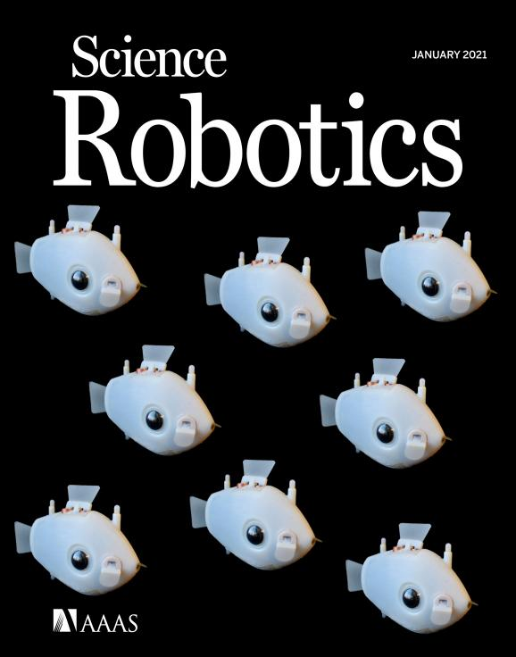 哈佛的机器鱼学会了智能协作，集体“游”上 Science 子刊封面！