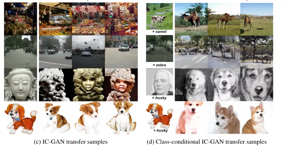 最会造假的GAN模型！Facebook发布IC-GAN，迁移能力史上最强