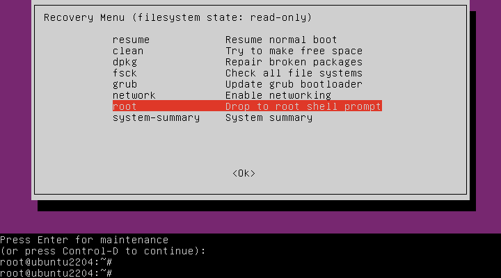 Ubuntu Maintenance Mode