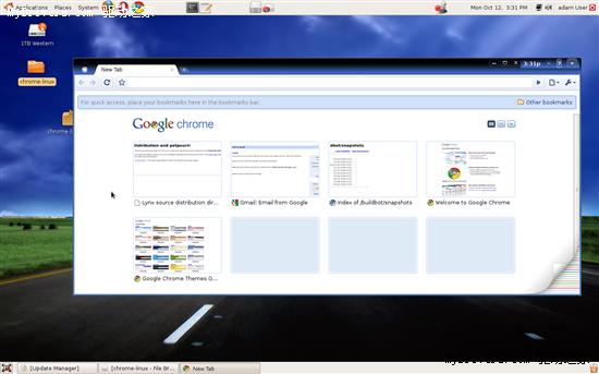 Google操作系统自带浏览器Chrome 4.0.222.6