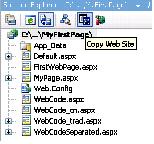 CopyWebSite工具按钮