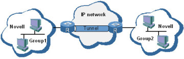 通过使用隧道可以实现跨越广域网的VPN