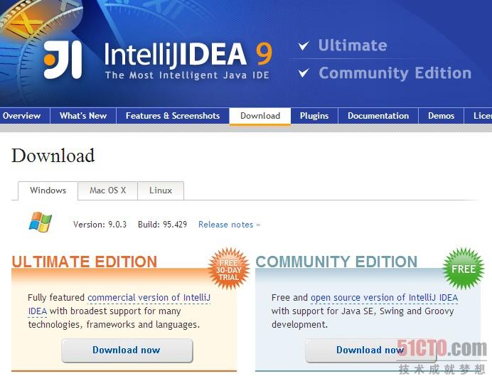 IntelliJ IDEA 9.0.3