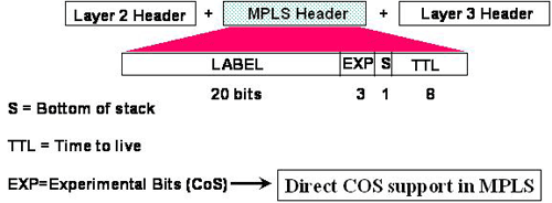图1：MPLS标签文件头