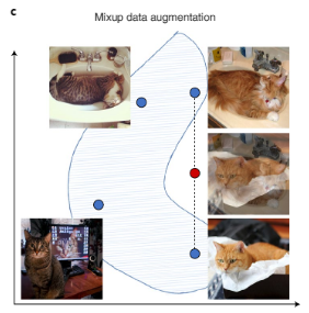 斯坦福李飞飞团队新研究登 Nature 子刊：实现可信 AI，数据的设计、完善、评估是关键