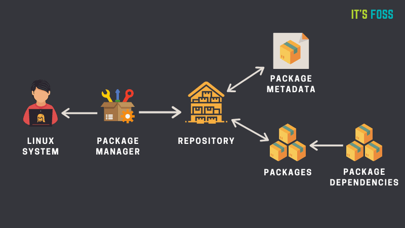 Illustration of repository and package manager