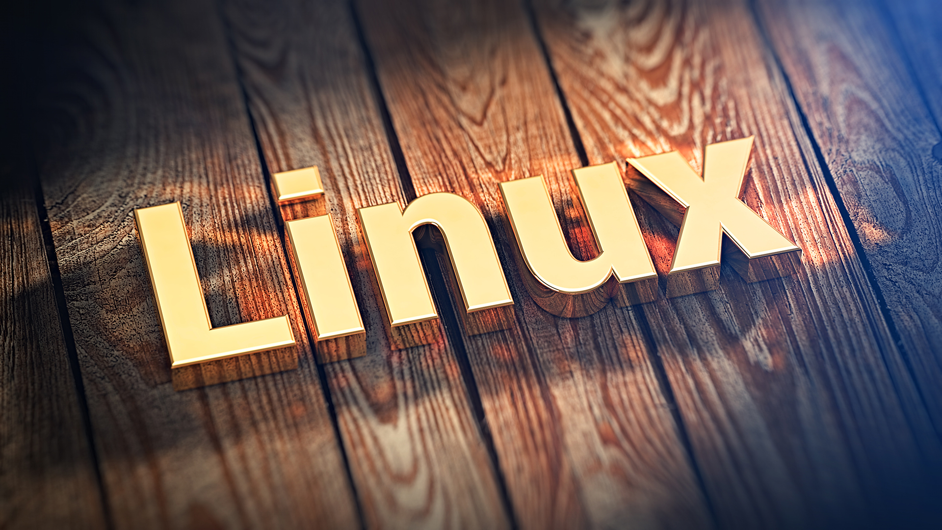 适用于 Linux 的十大命令行游戏