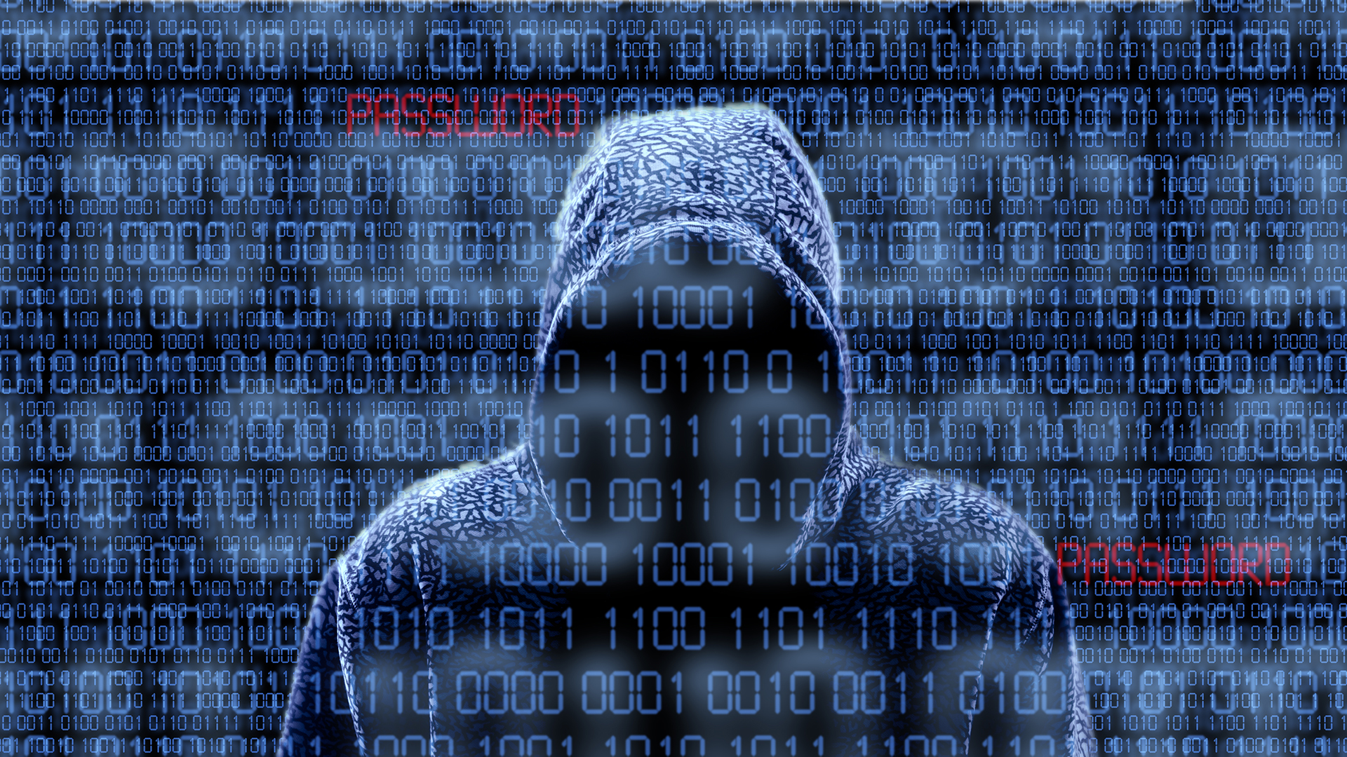 超五万起网络犯罪背后的连环黑客，终于在法国被逮捕