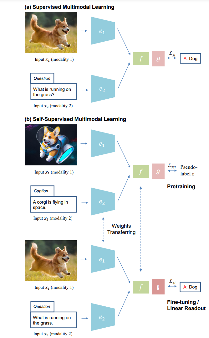 多模态如何自监督？爱丁堡等最新「自监督多模态学习」综述：目标函数、数据对齐和模型架构