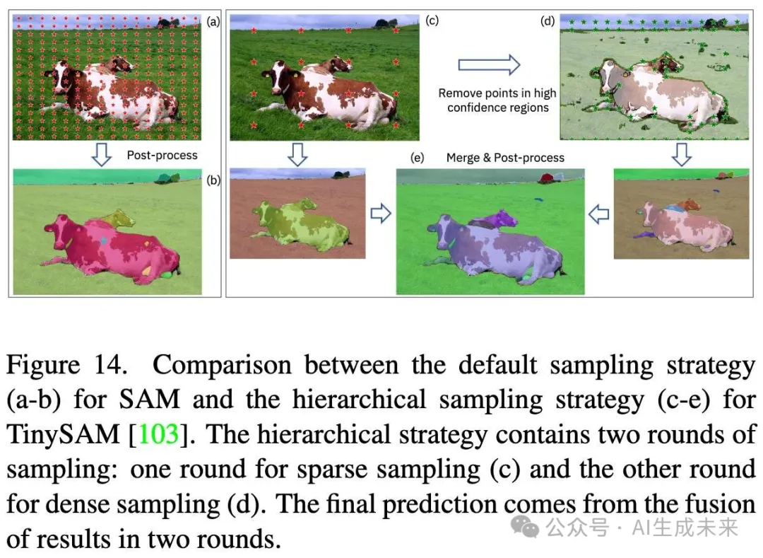 首篇！全面系统解读高效SAM变体：各种加速策略和核心技术展示-AI.x社区
