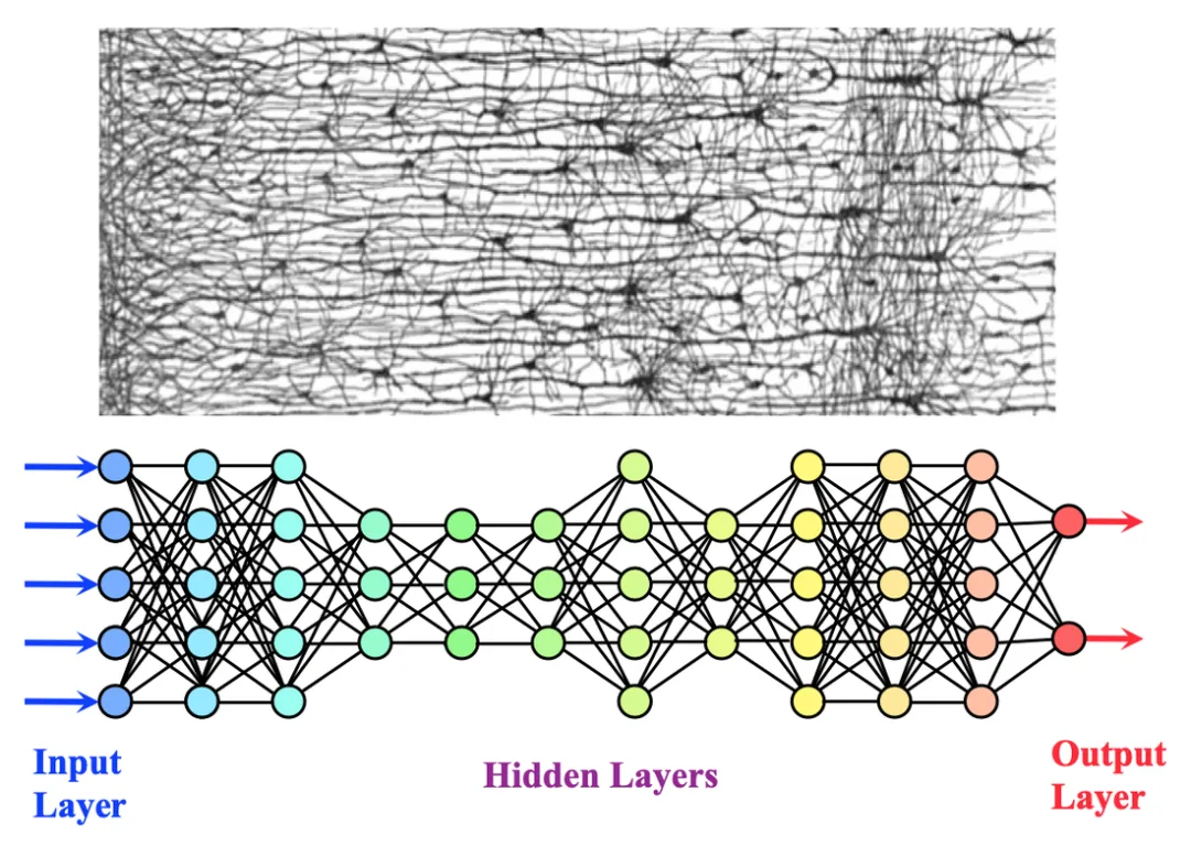 一文彻底搞懂深度学习 - 神经网络（Neural network）-AI.x社区