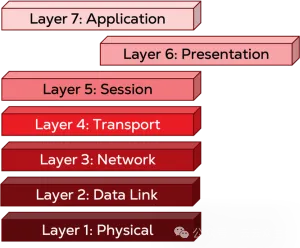 第 6 层：表示层