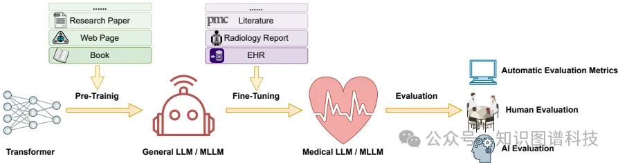医学领域大模型与多模态大模型的综合调查-AI.x社区