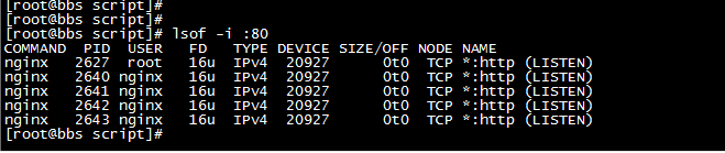 Nginx 安装过程_安装过程_02