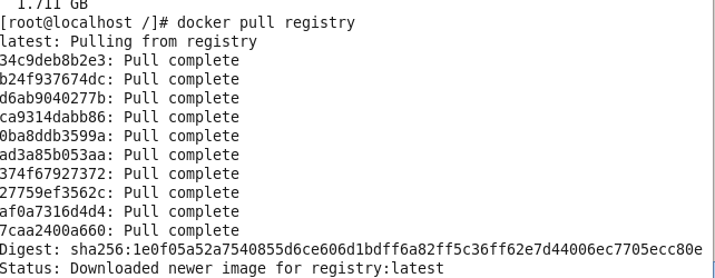 docker 搭建registry私有仓库 （Centos6.5）_registry_04