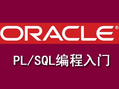  Introduction to PL/SQL Programming for Oracle Advanced Development Video Course