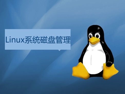 Linux系统磁盘管理知识进阶实战视频课程(老男孩全新运维进阶系列L024)