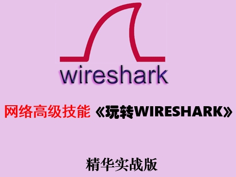 网络高级技能-玩转wireshark实战视频课程