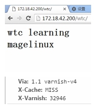 Linux中Varnish基础应用_加速器_04