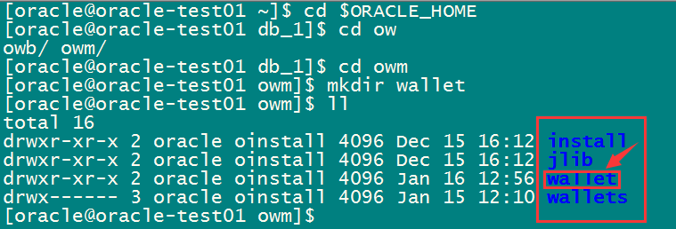使用Oracle的Security External Password Store功能实现无密码登录数据库_Security_10