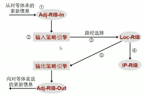 BGP路由_路由_10