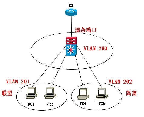 私有VLAN知识点_私有vlan_02