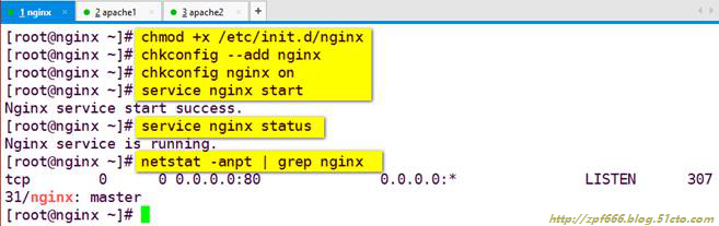 nginx反向代理缓存服务器构建_nginx_13