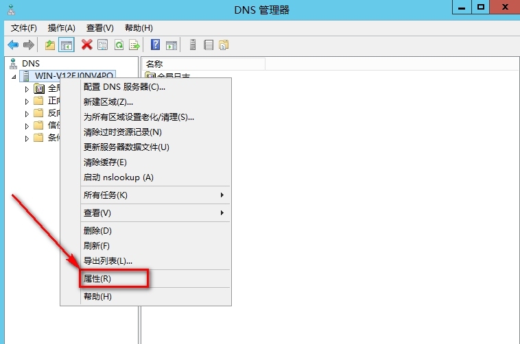 windows Server 2012安装辅助DNS步骤_DNS_44