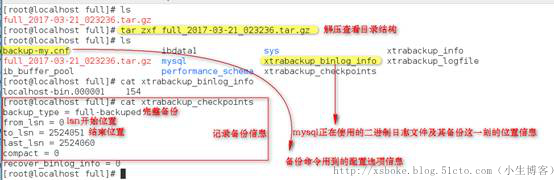 MySQL：常用备份方式（基于5.7）_备份_28