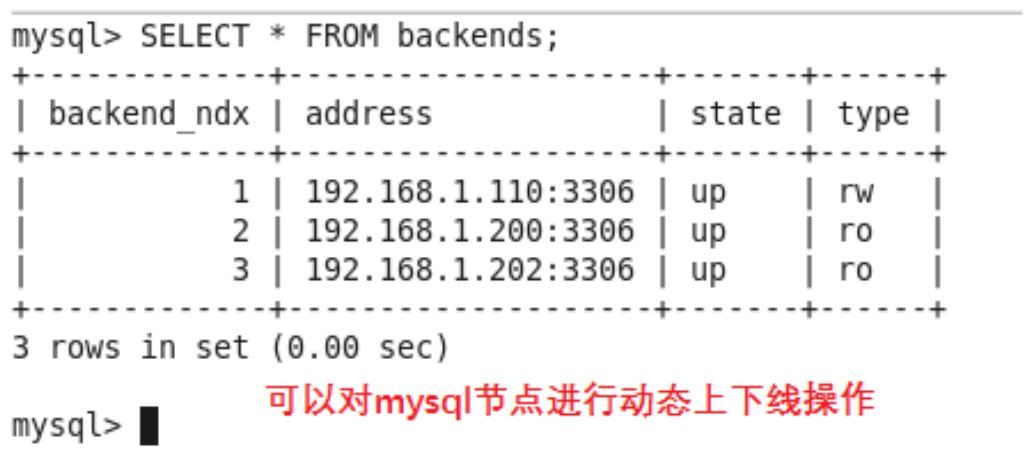 从零开始部署一个atlas-mysql基本架构_atlas_25