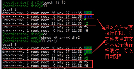 用户和组的的权限_Linux_11