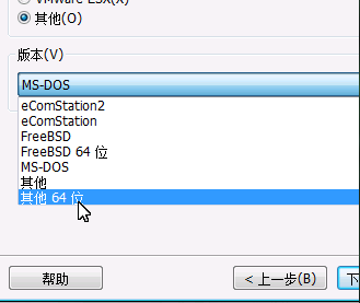 虚拟化VMware之存储与虚拟机主机管理(1)_VMware_03