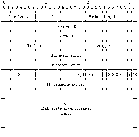 OSPF报文详解_IGP_03