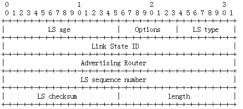 OSPF报文详解_IGP_07