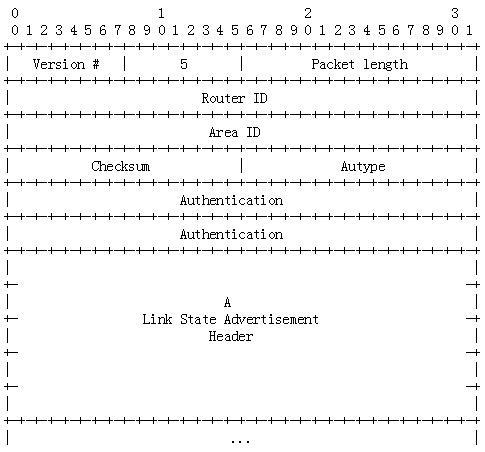 OSPF报文详解_OSPF_06