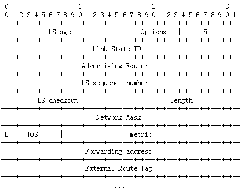 OSPF报文详解_IGP_11