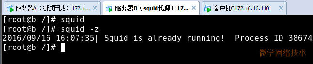 squid代理服务器_squid代理服务器_13