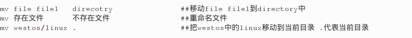 关于file的部分简单命令_文件/目录的简单命令_04