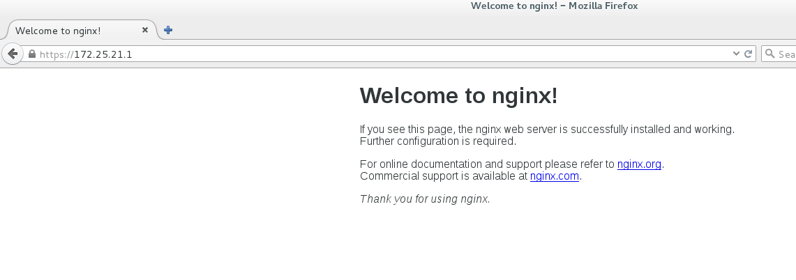 nginx_nginx_20