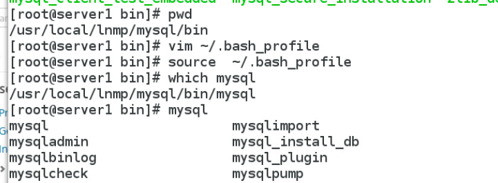 Mysql安装_lamp_09