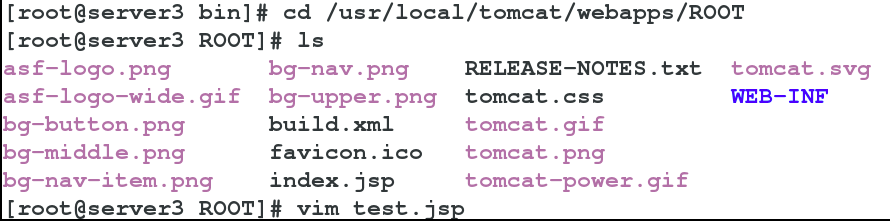 Tomcat_Linux_03