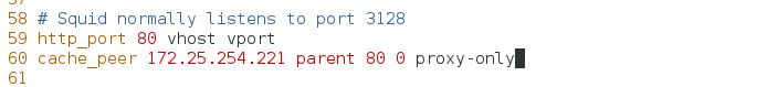  Linux的squid代理服务_squid_07