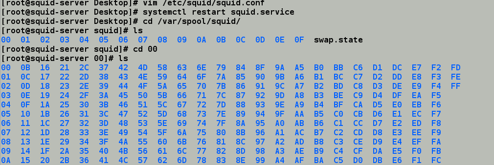 运维学习之squid代理服务_Linux_11