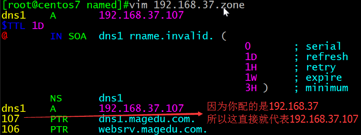 DNS配置_Linux_24